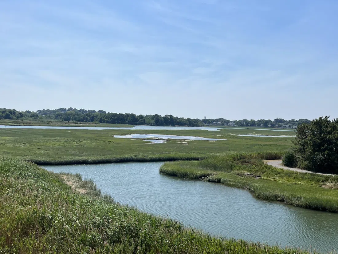 Belle Isle Marsh Reservation, Boston