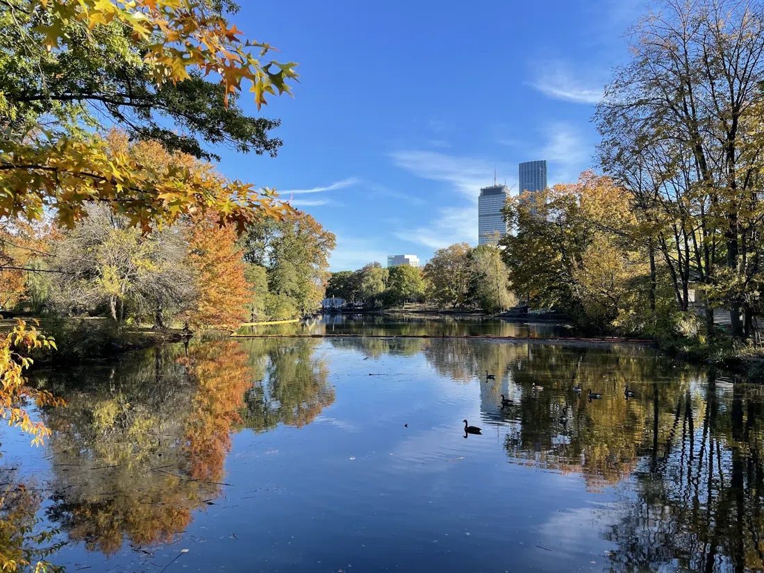 Back Bay Fens, Boston