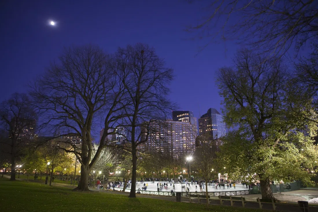 Boston Common & Frog Pond, Boston