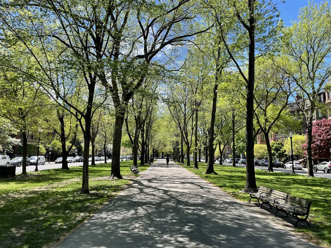 Commonwealth Avenue Mall, Boston