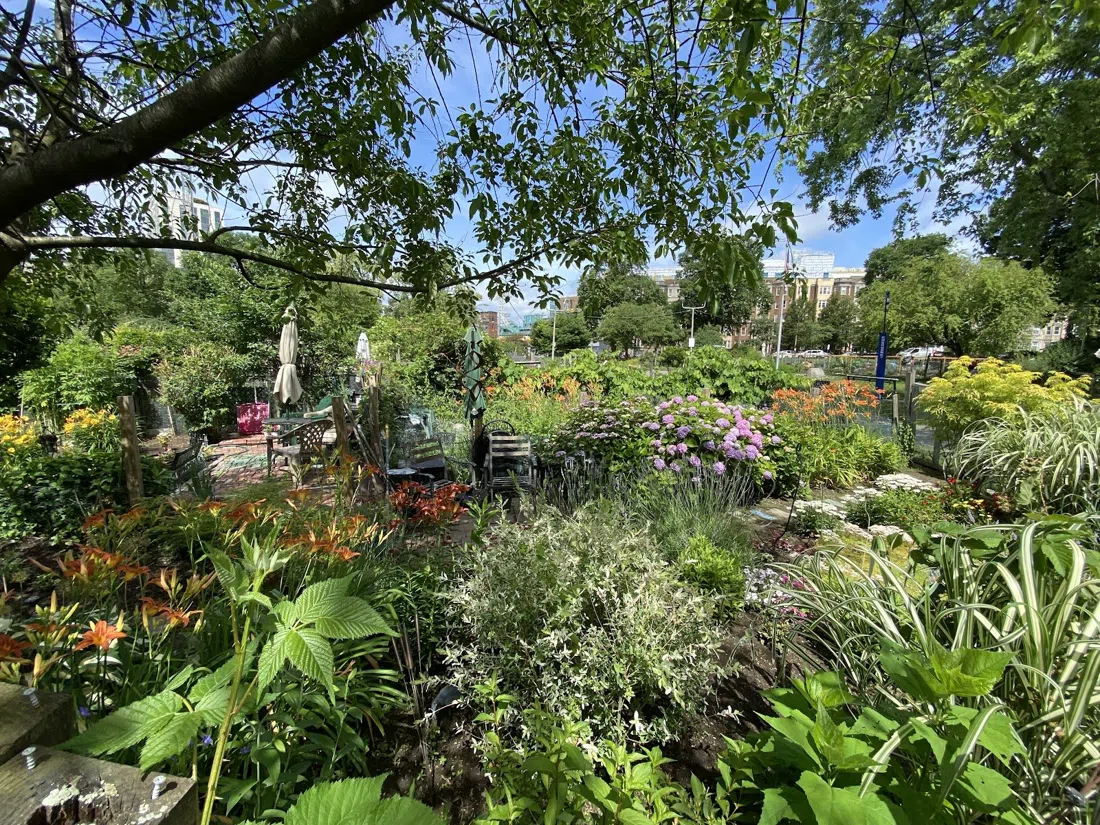 Fenway Victory Gardens, Boston