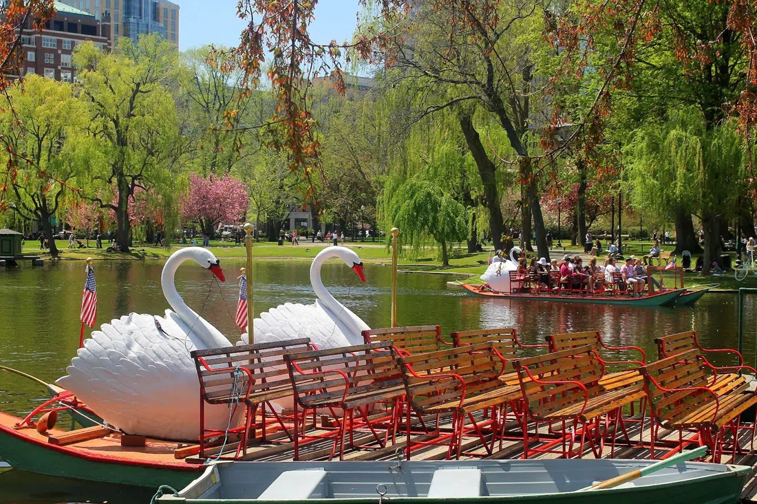 Public Garden & Swan Boats, Boston