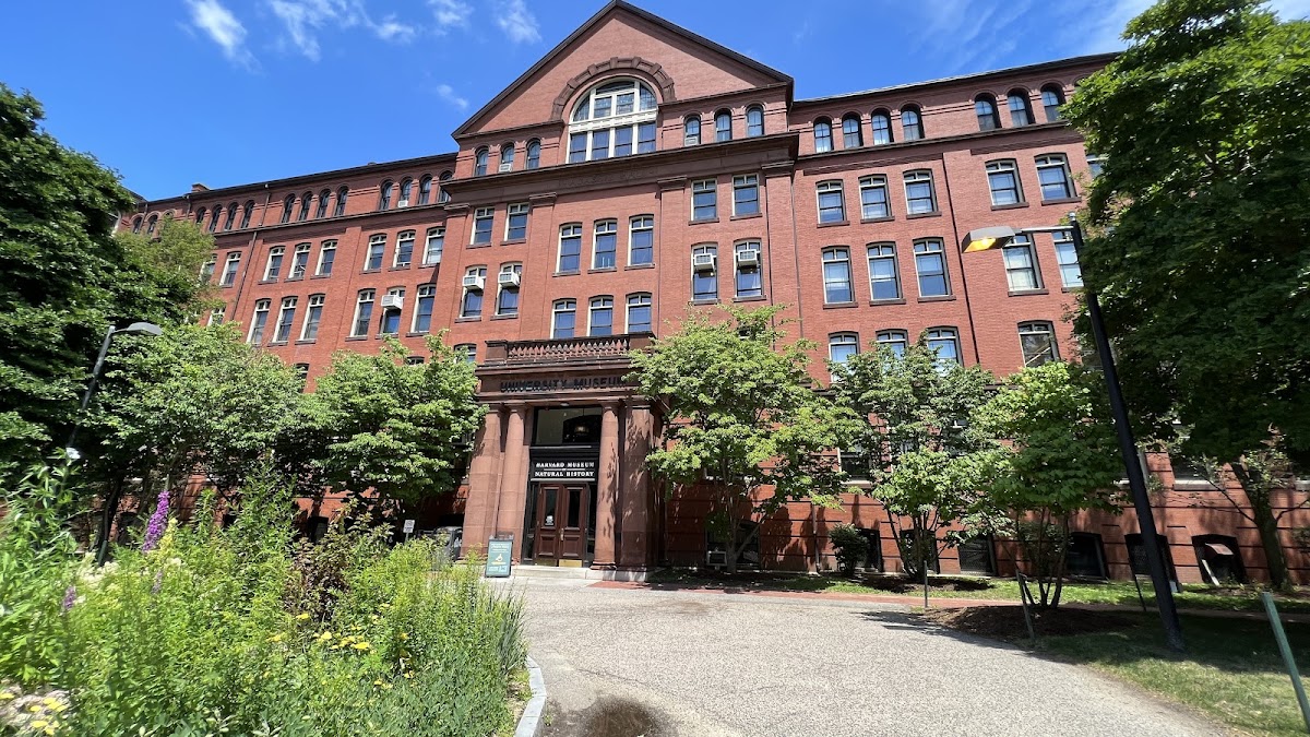 Harvard Museum of Natural History, Boston