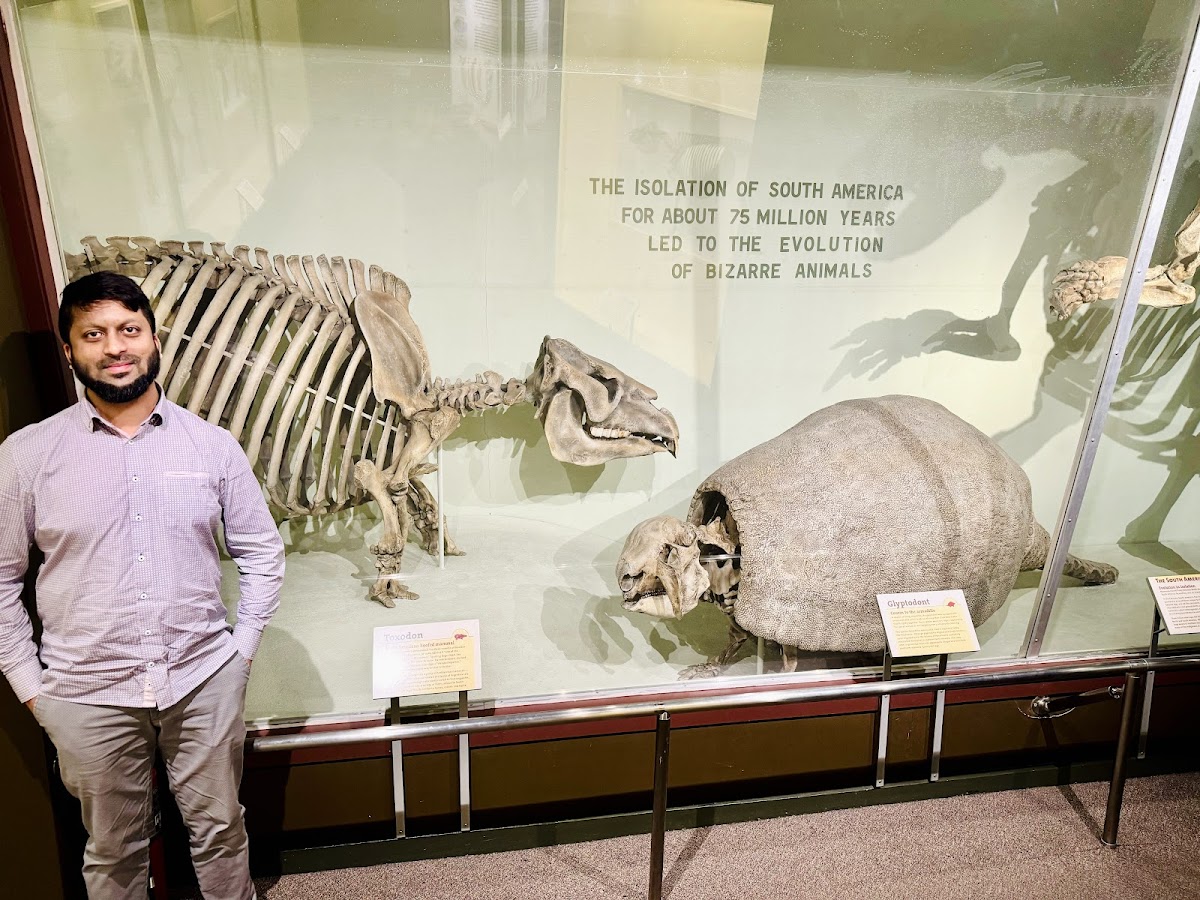 Harvard Museum of Natural History — photo 5