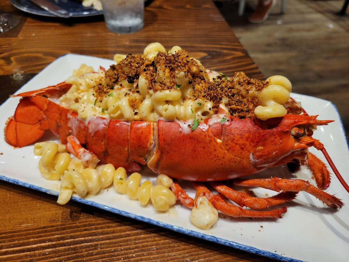 Legal Harborside — photo 4