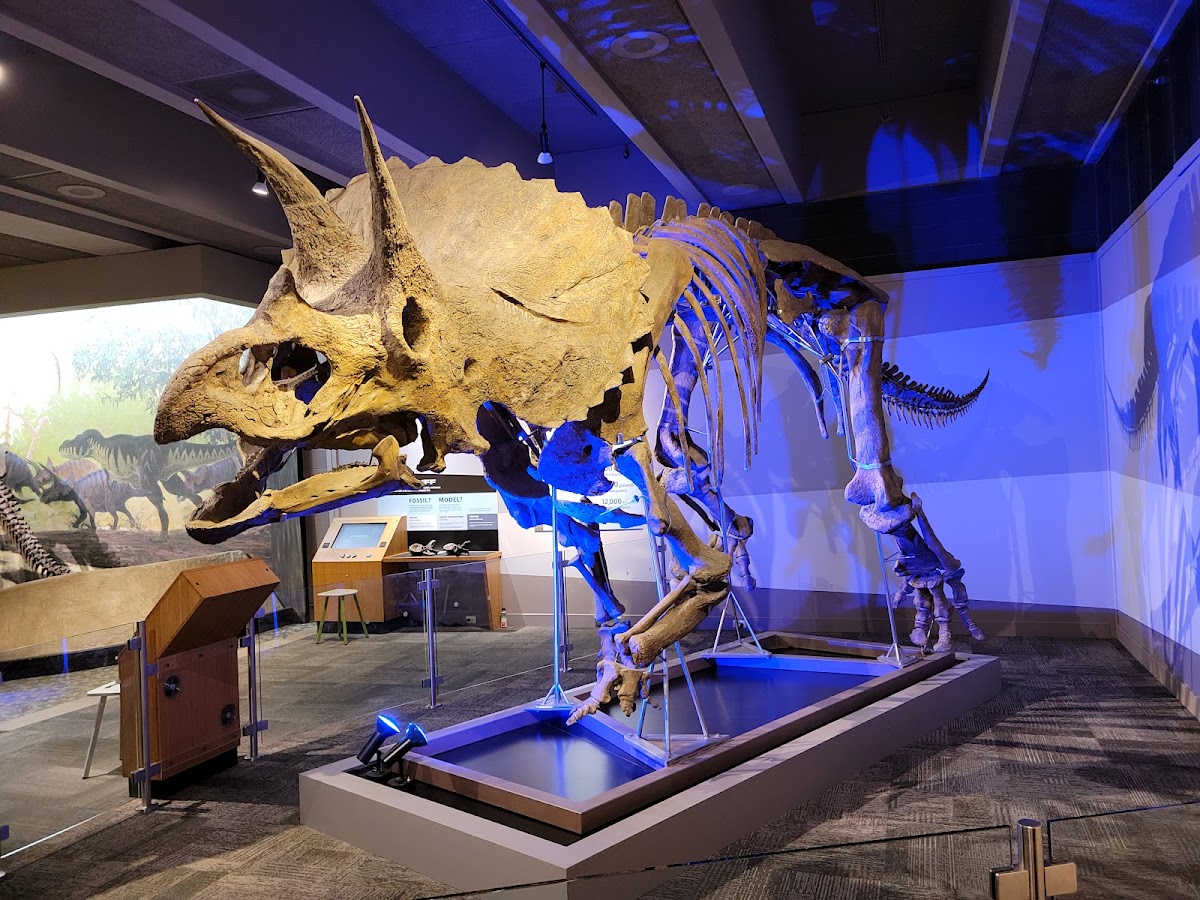 Museum of Science — photo 5
