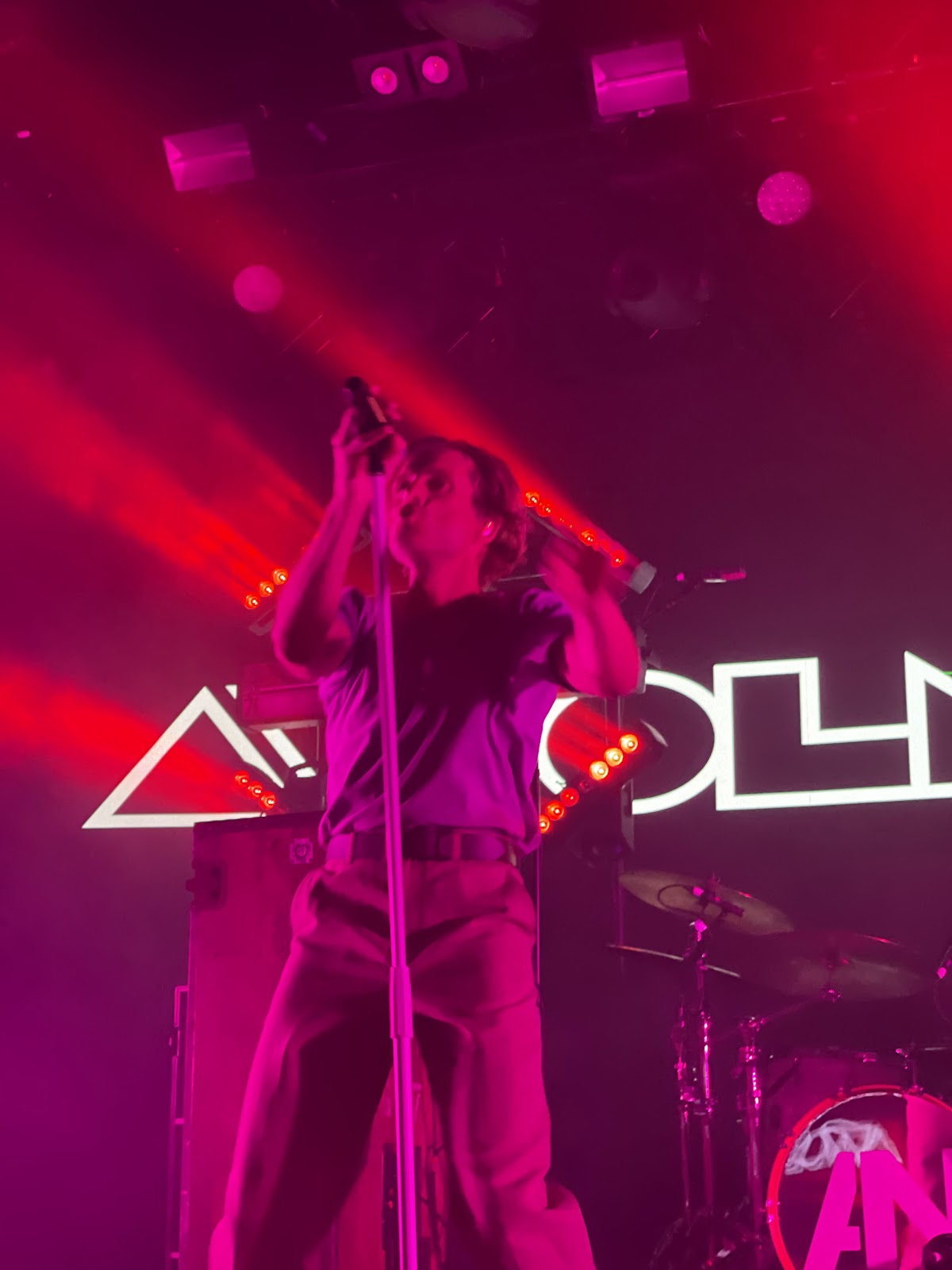 Royale — photo 3