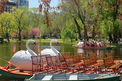 Stroll the Boston Public Garden & Ride the Swan Boats