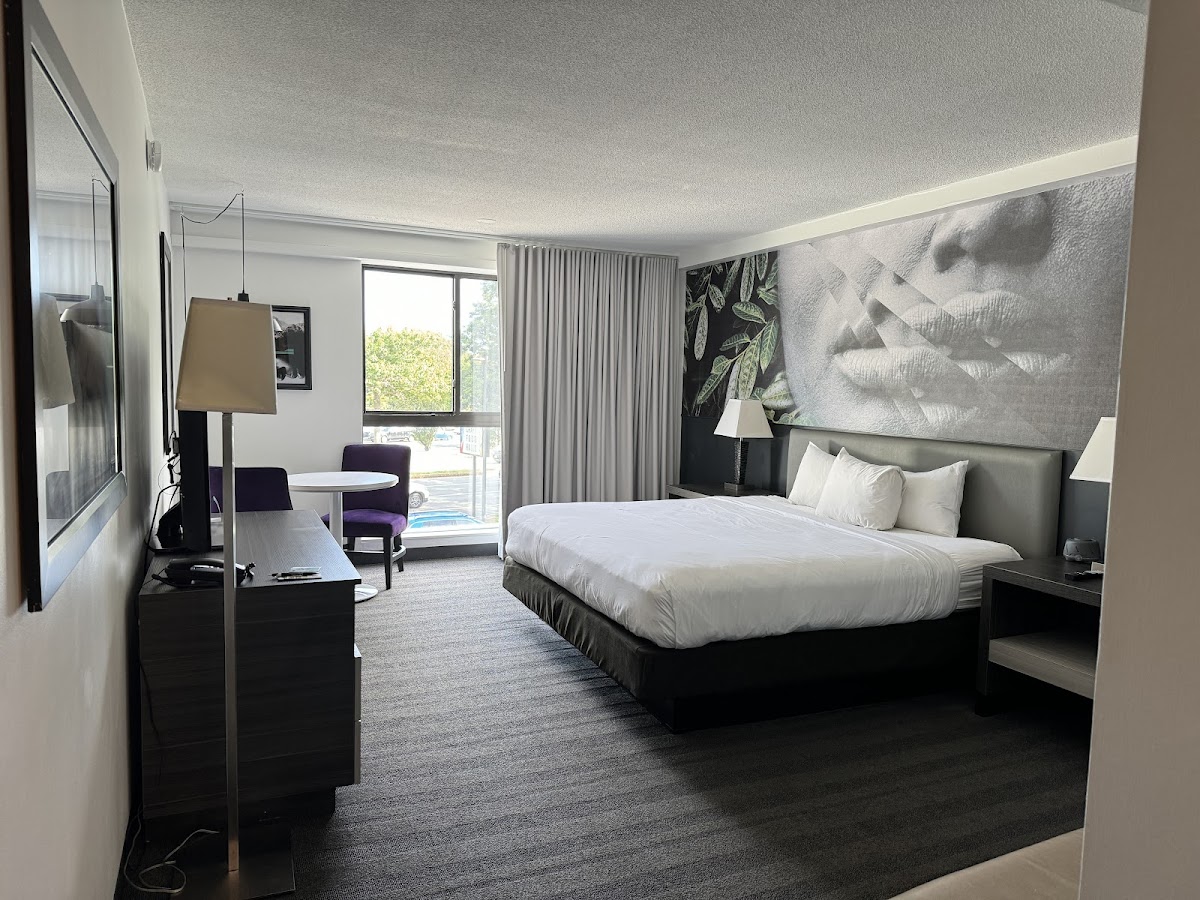 Studio Allston Hotel — photo 3