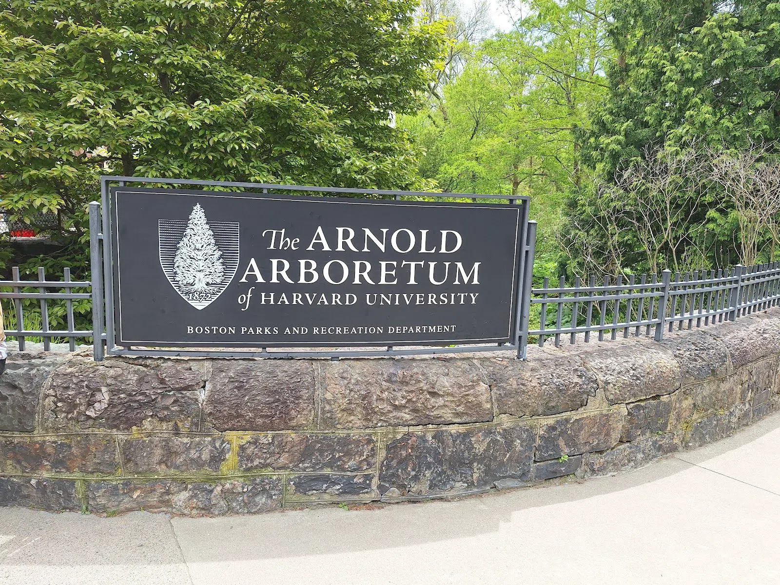Arnold Arboretum of Harvard University, Boston