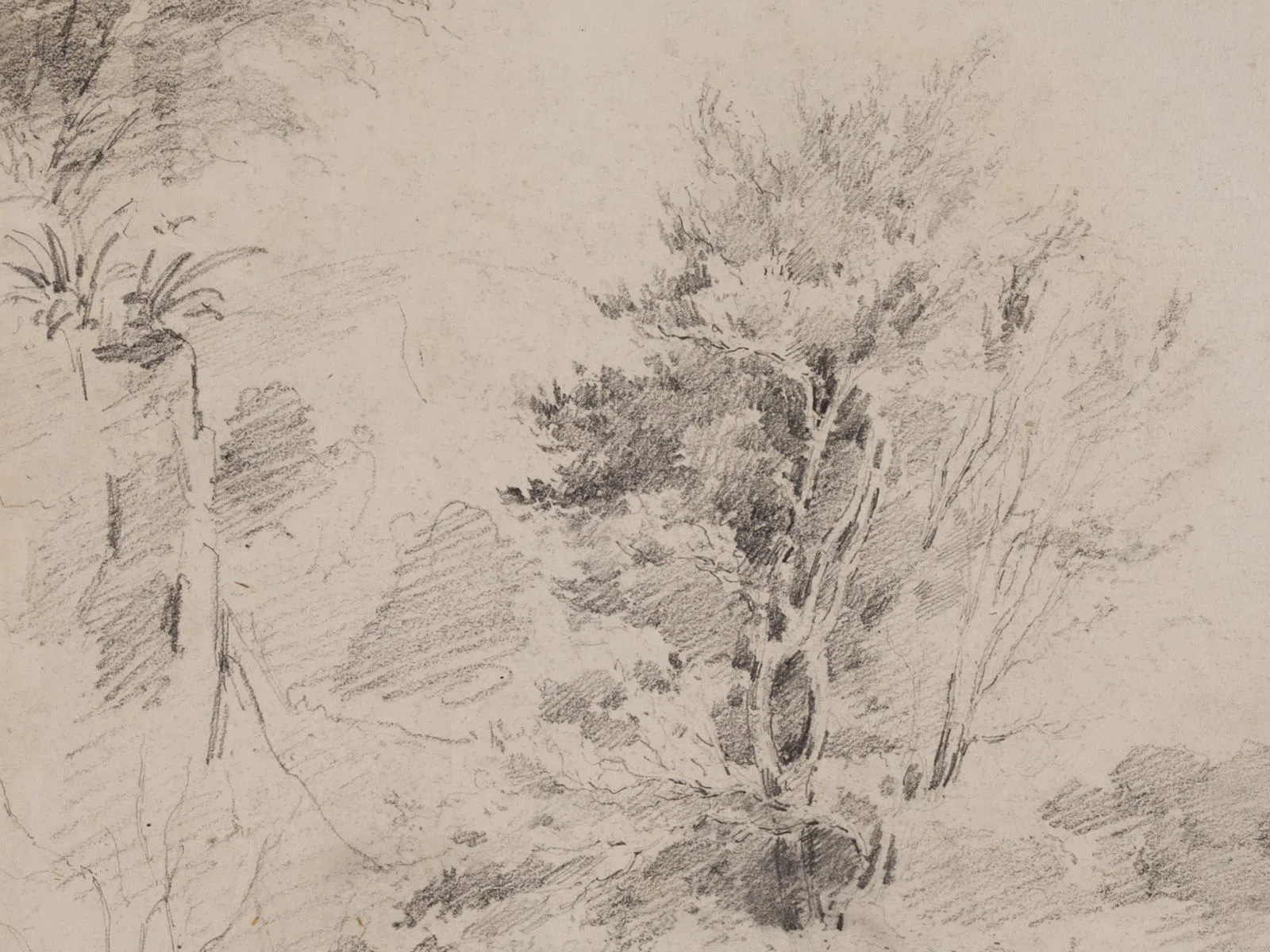 Harvard Art Museums, Boston
